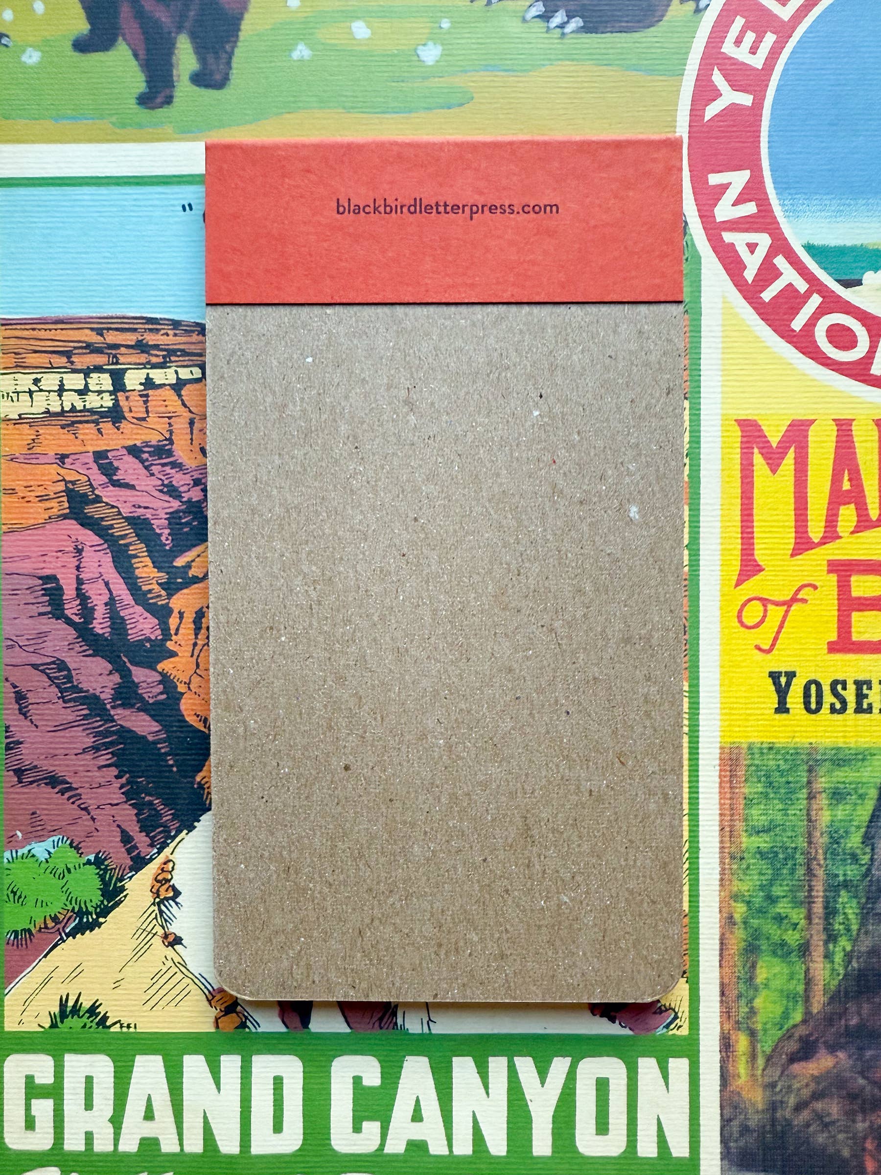 Black bear jotter notepad