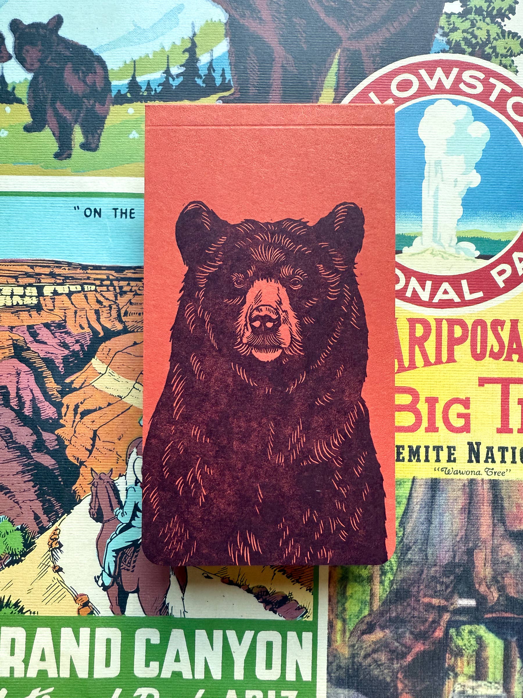 Black bear jotter notepad