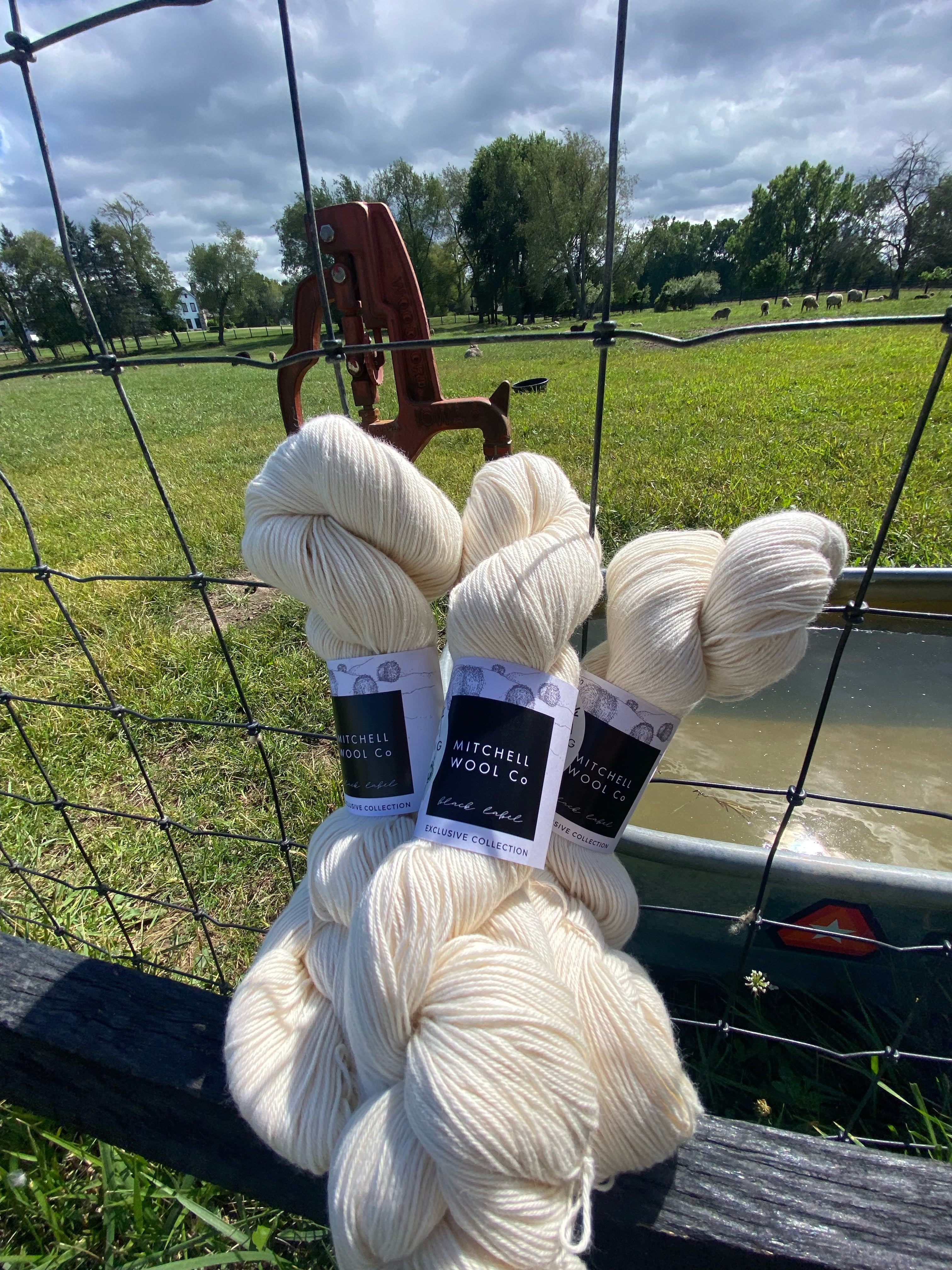 Organic Cotton Yarn - Sport Weight