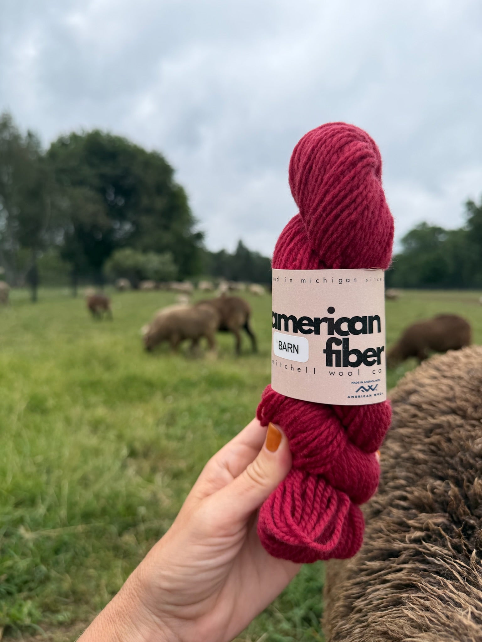 Rambouillet DK - American Fiber