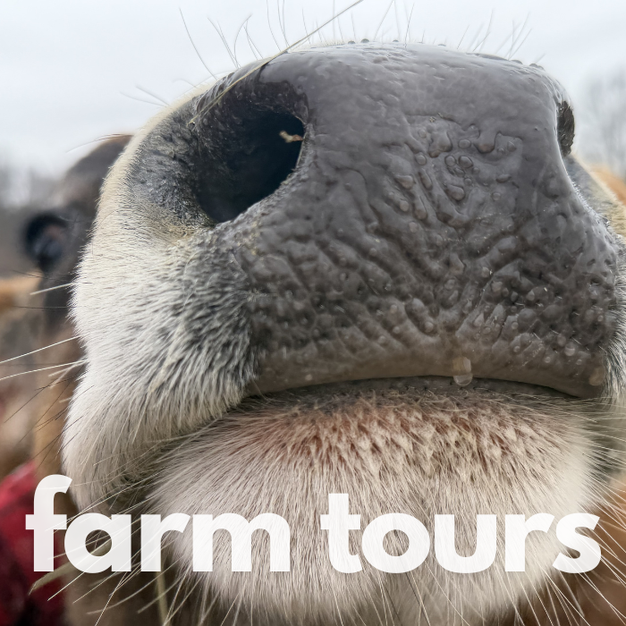 Farm Tours