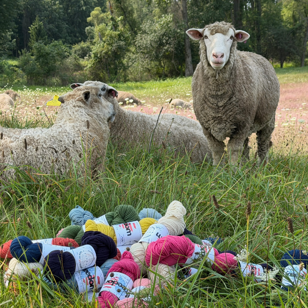 Freedom Worsted - American Fiber