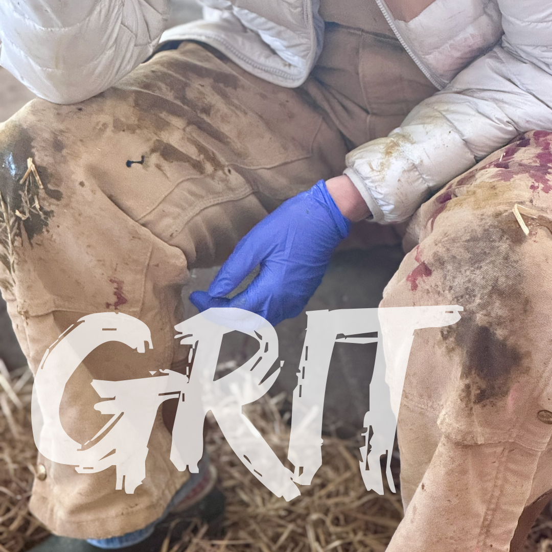 Black Label - Grit - Worsted Weight Yarn