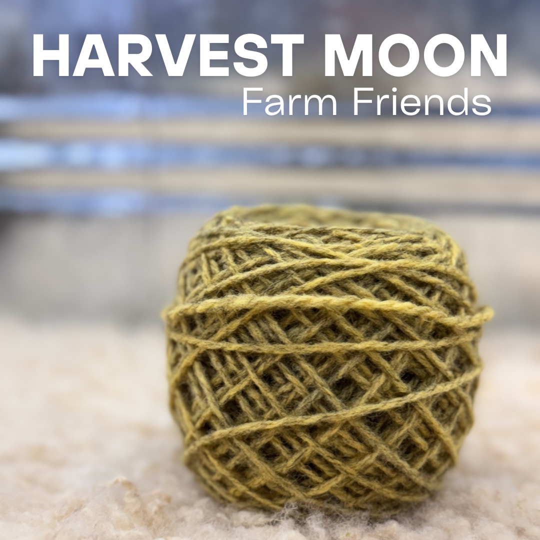 Farm Friends DK - American Fiber