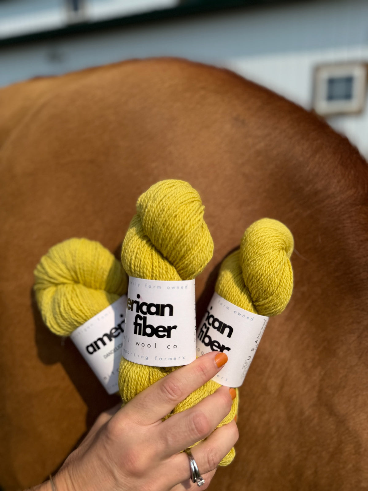 Rhinebeck FOMO Kit