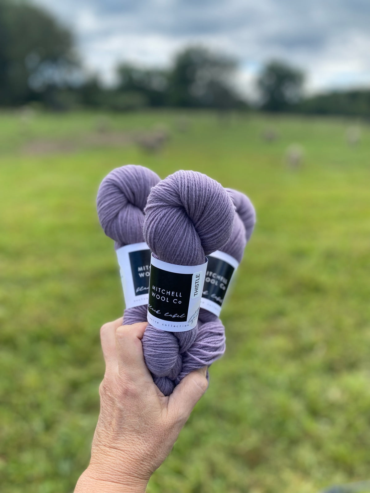 Black Label - Ontario - Fingering Weight Yarn