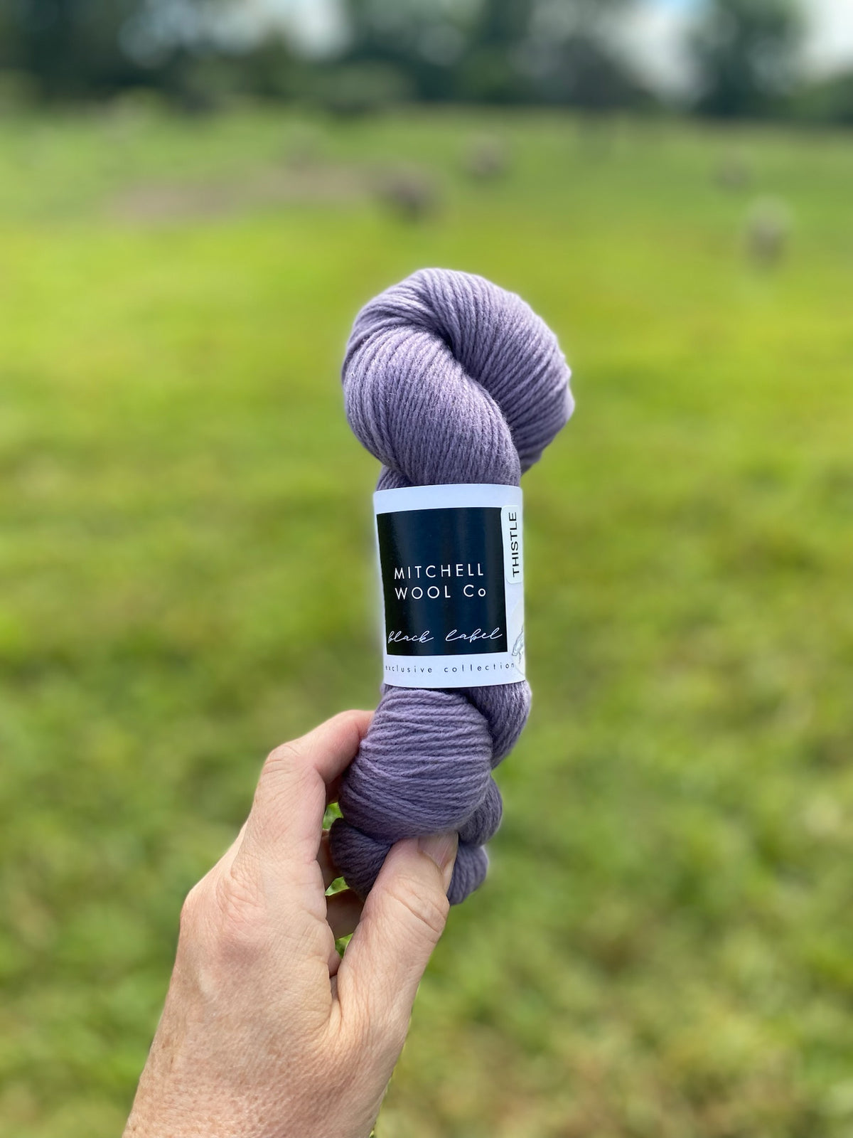 Black Label - Ontario - Fingering Weight Yarn