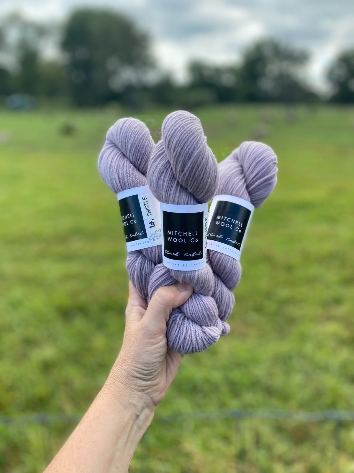 Black Label - Ontario - Fingering Weight Yarn