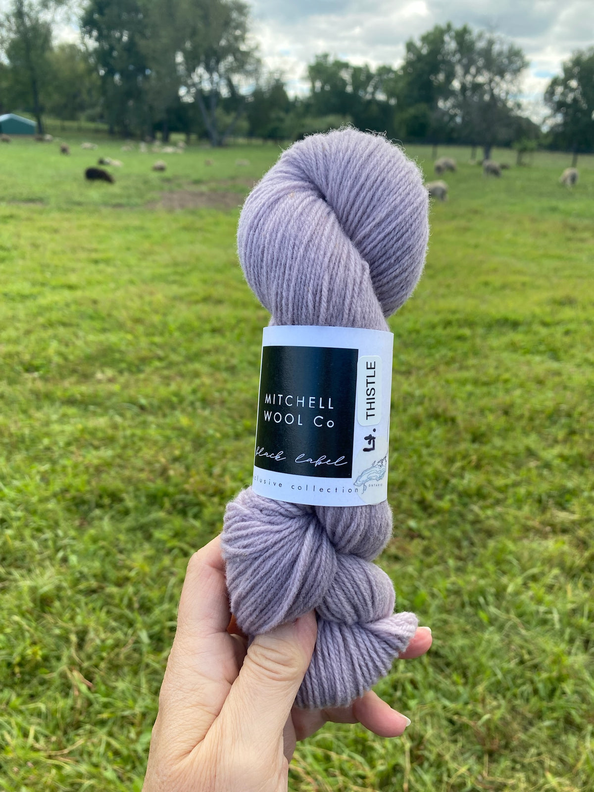 Black Label - Ontario - Fingering Weight Yarn