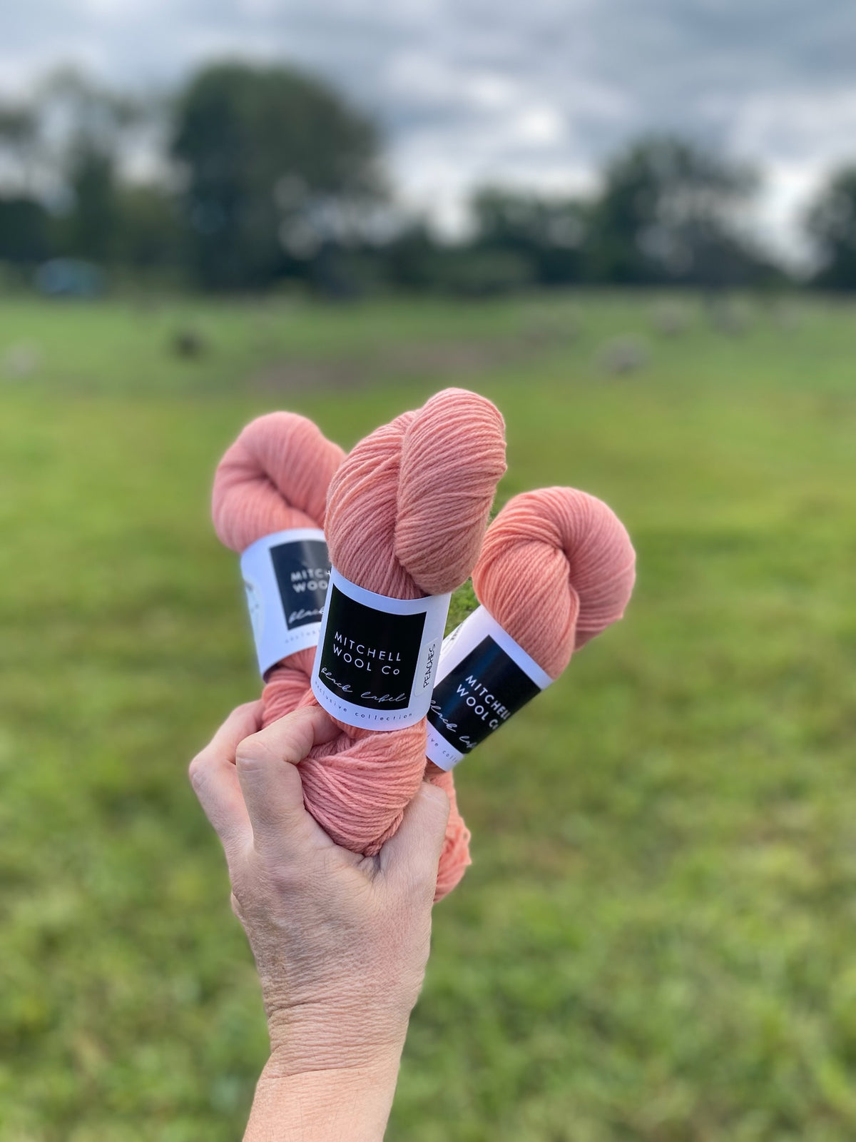 Black Label - Ontario - Fingering Weight Yarn