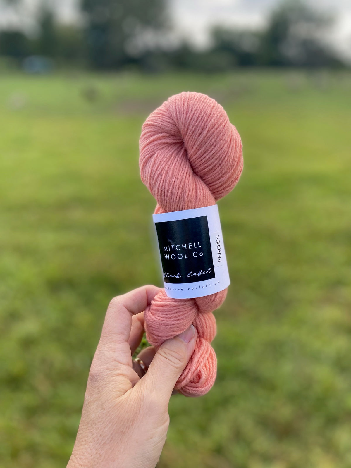 Black Label - Ontario - Fingering Weight Yarn