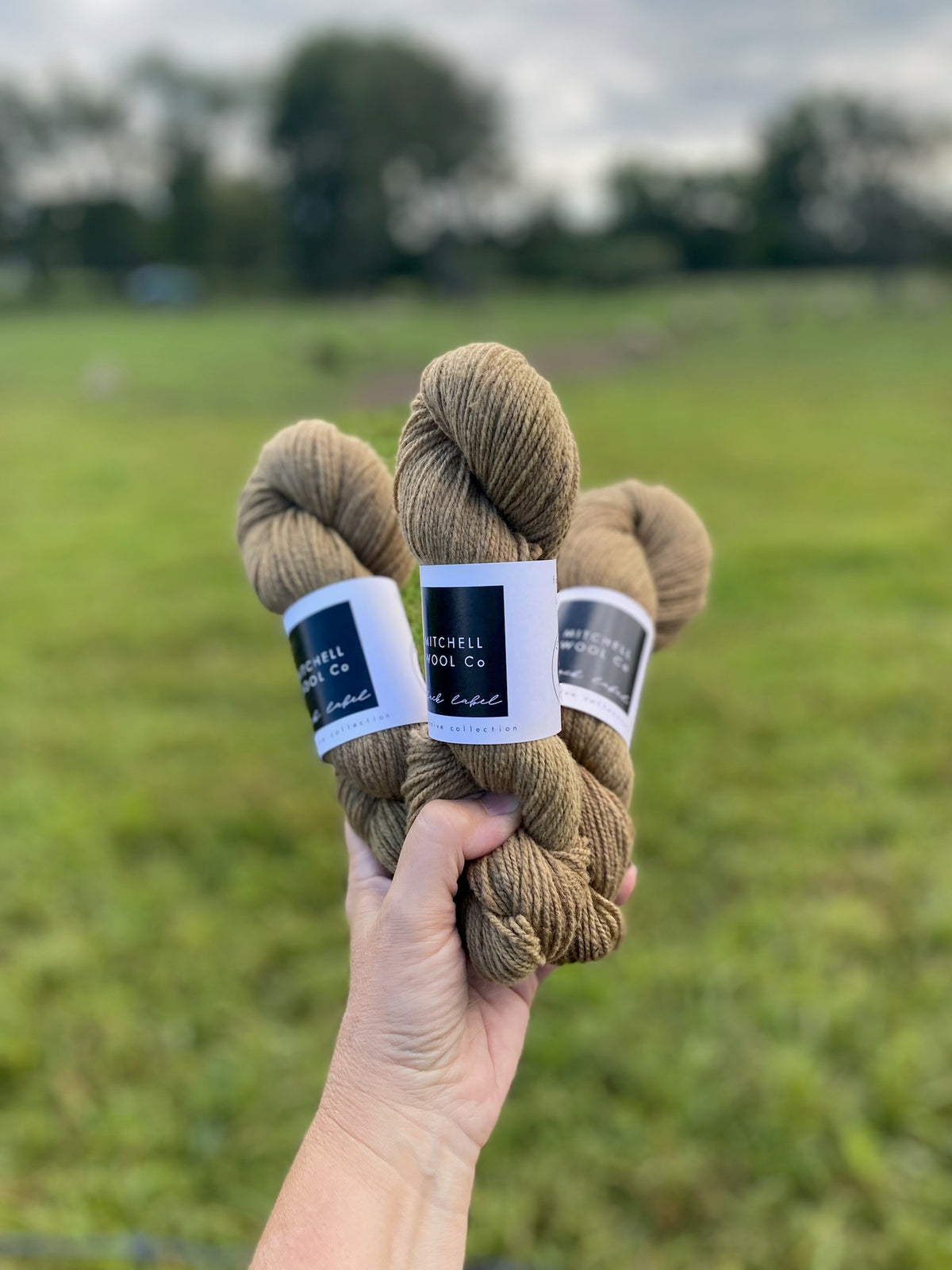 Black Label - Ontario - Fingering Weight Yarn