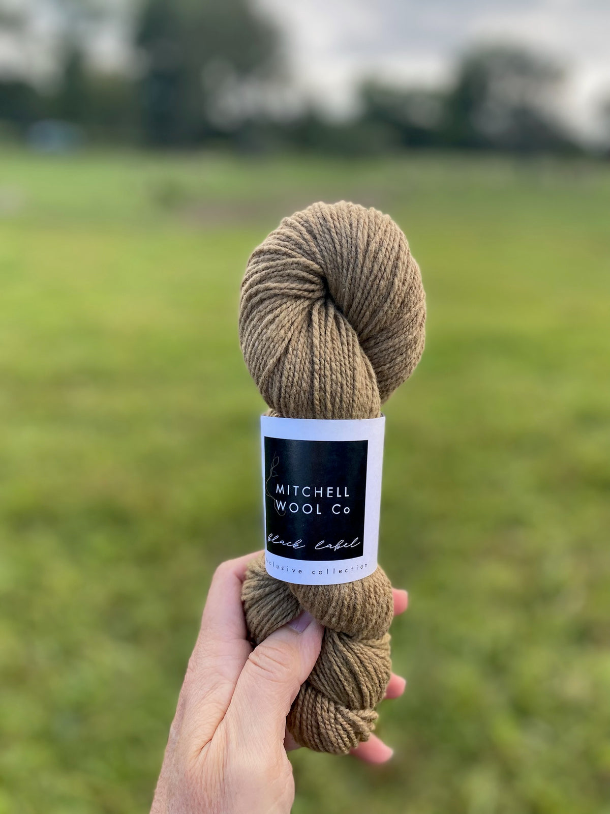Black Label - Ontario - Fingering Weight Yarn