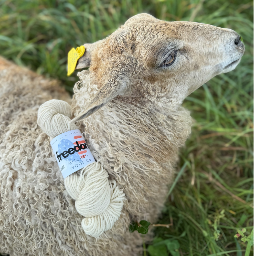 Freedom Worsted - American Fiber