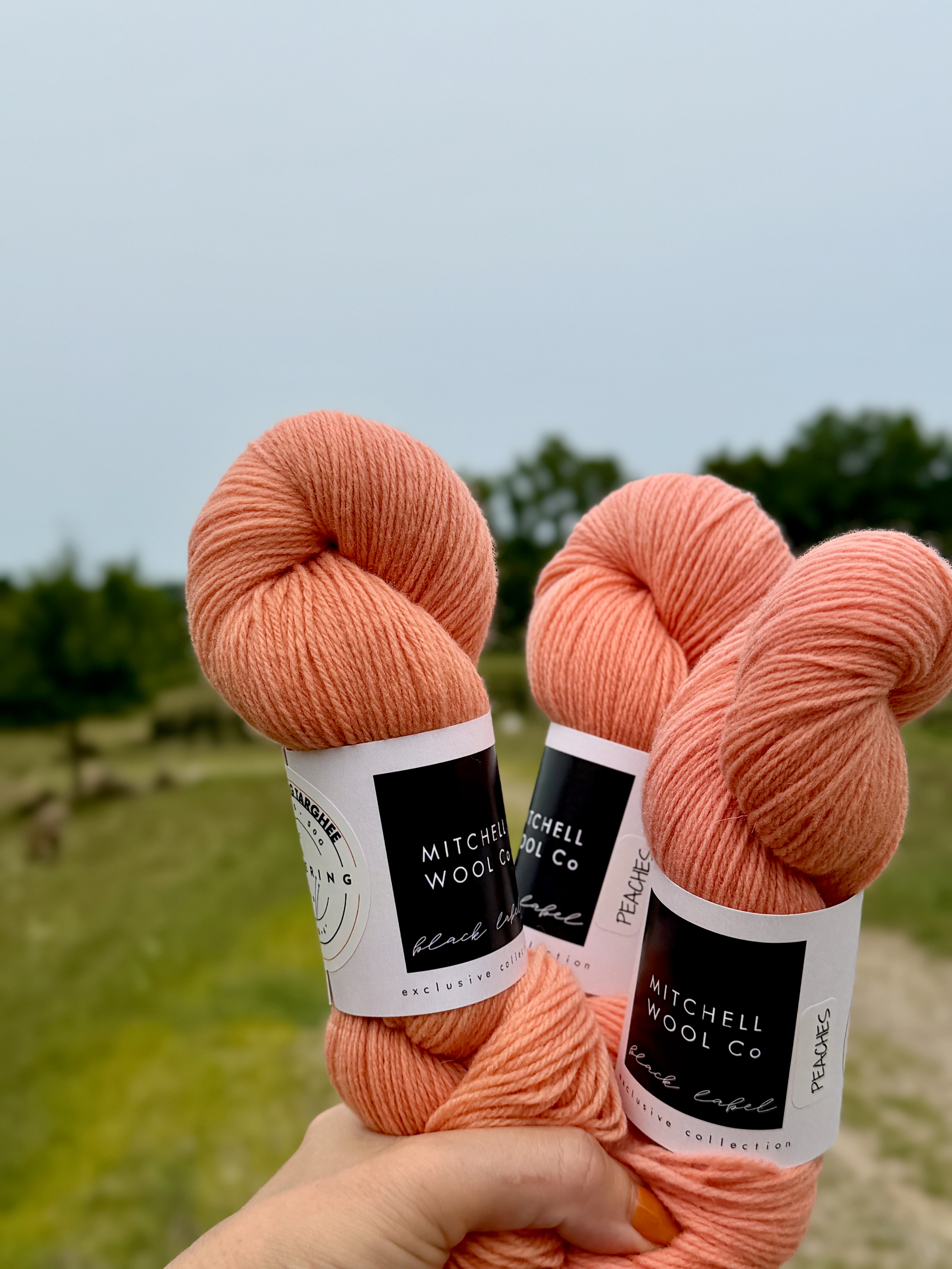Targhee Fingering - American Fiber