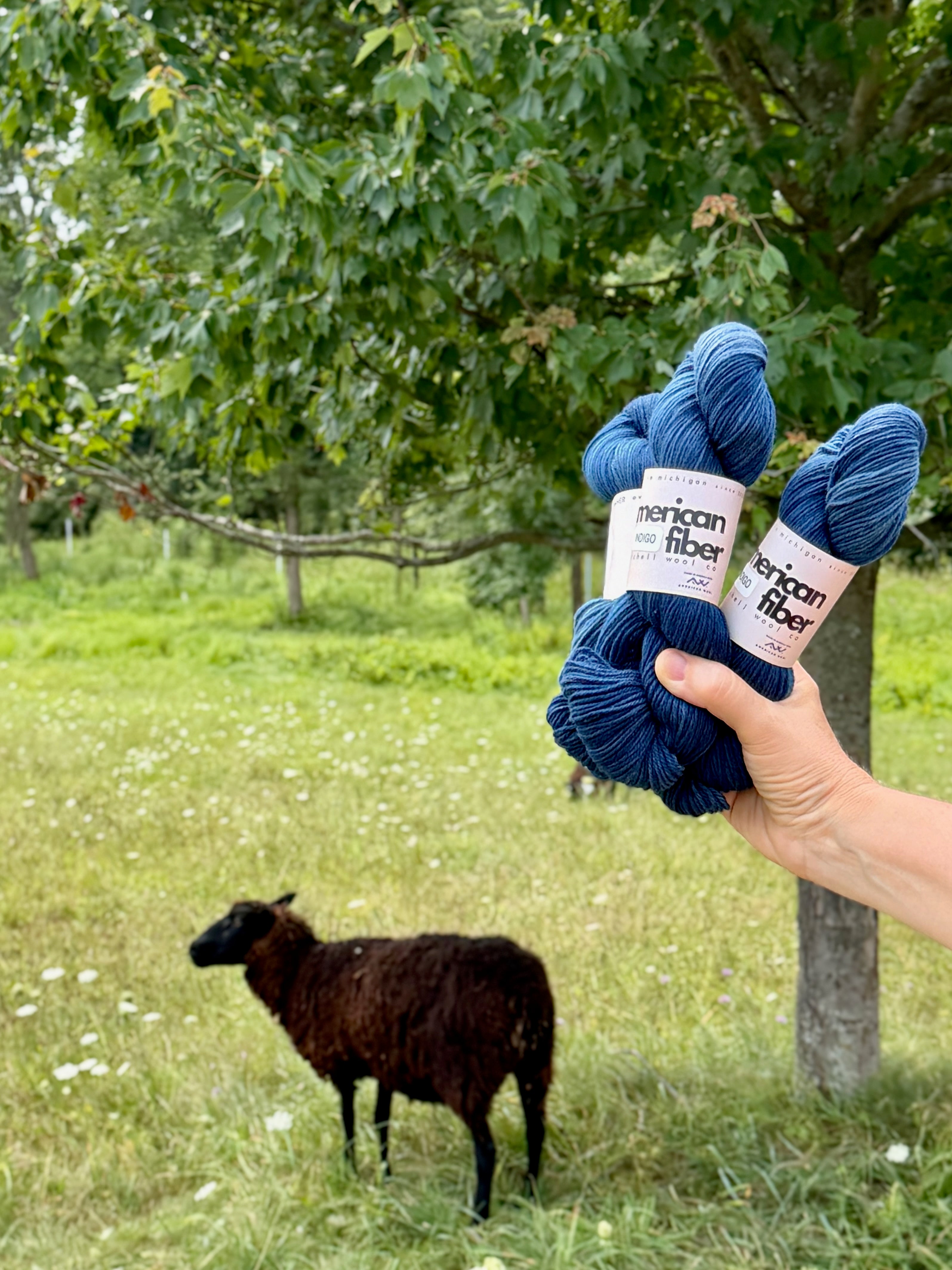 Targhee Fingering - American Fiber