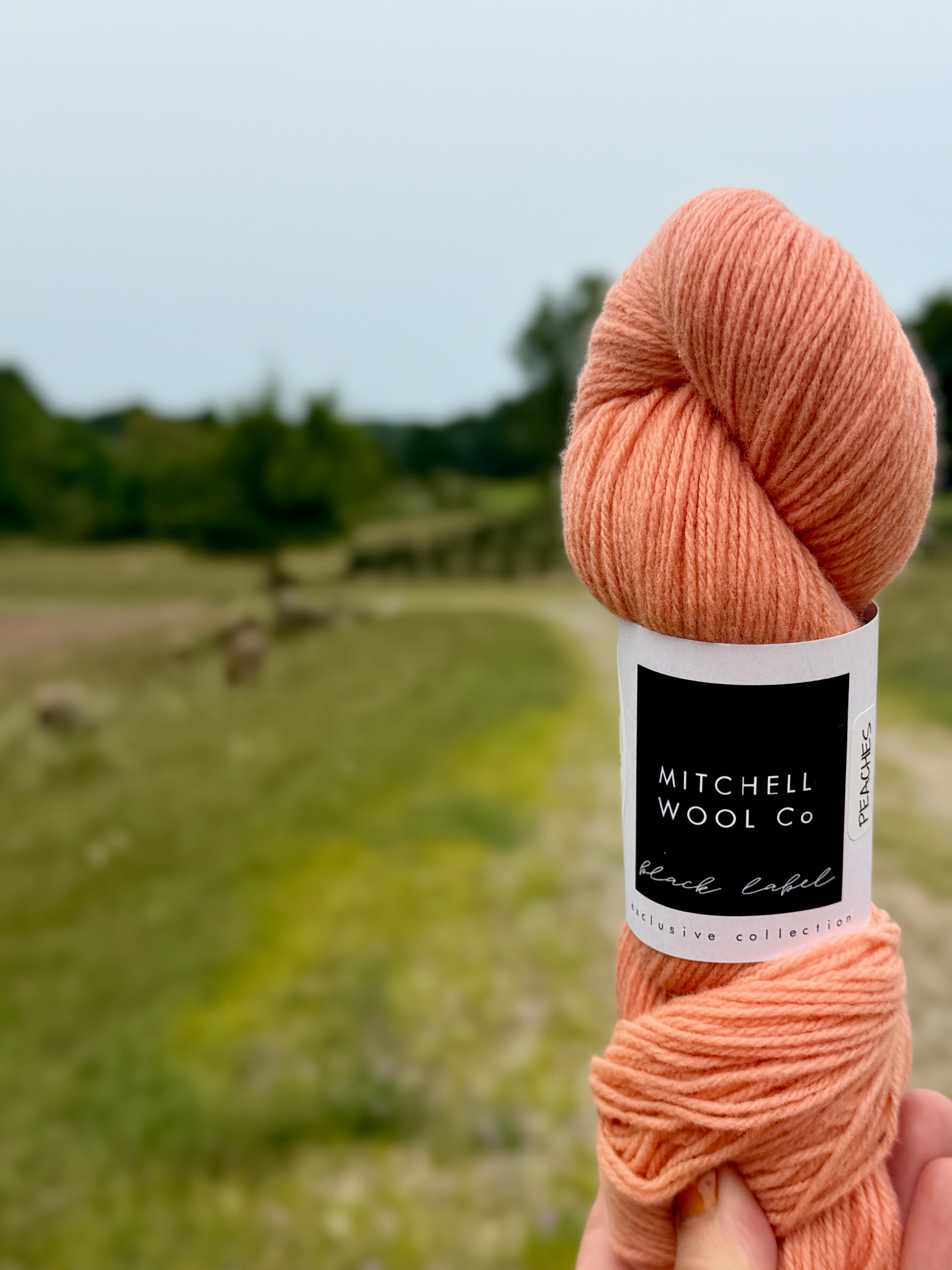 Targhee Fingering - American Fiber