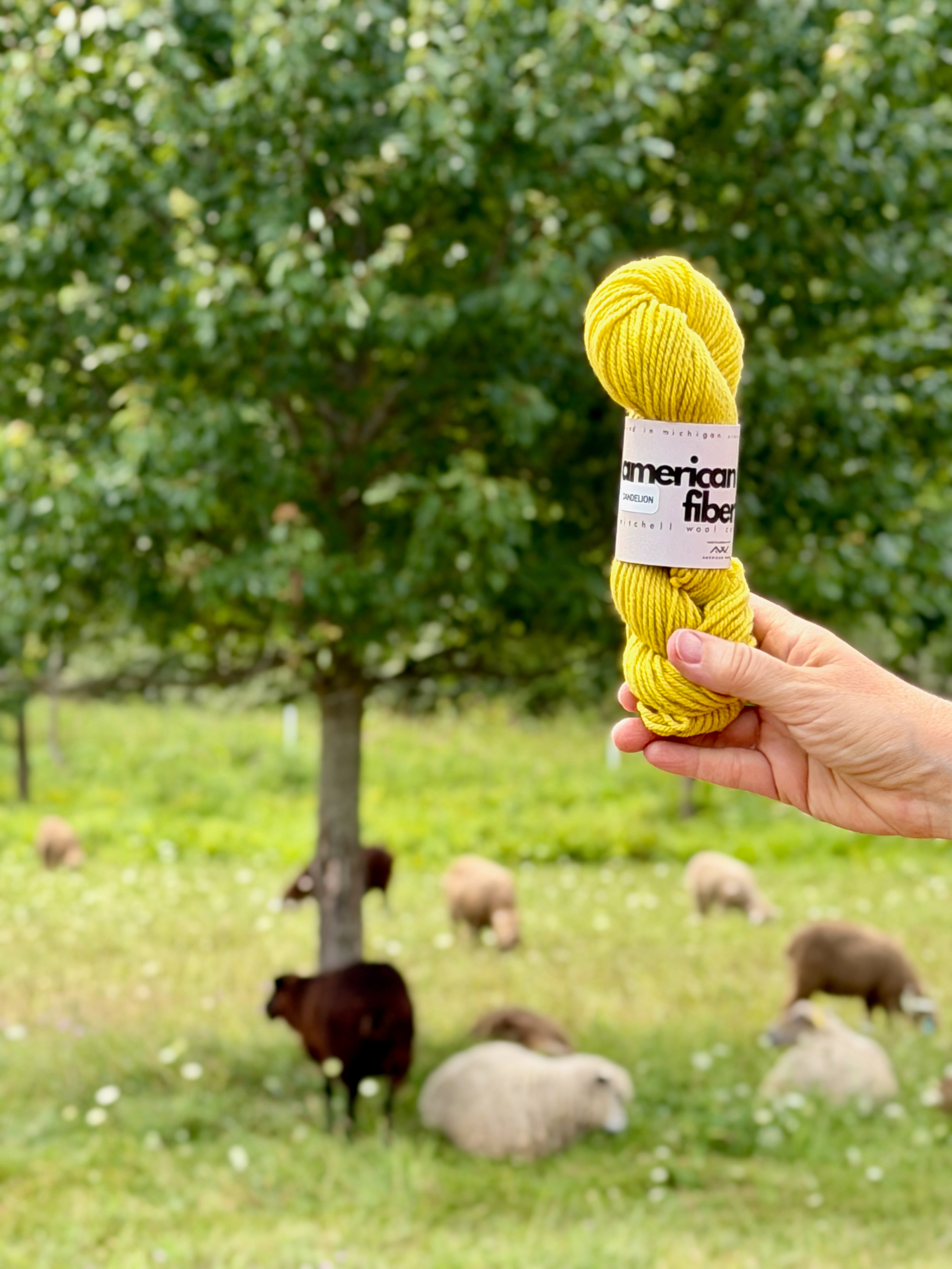 Targhee Worsted - American Fiber