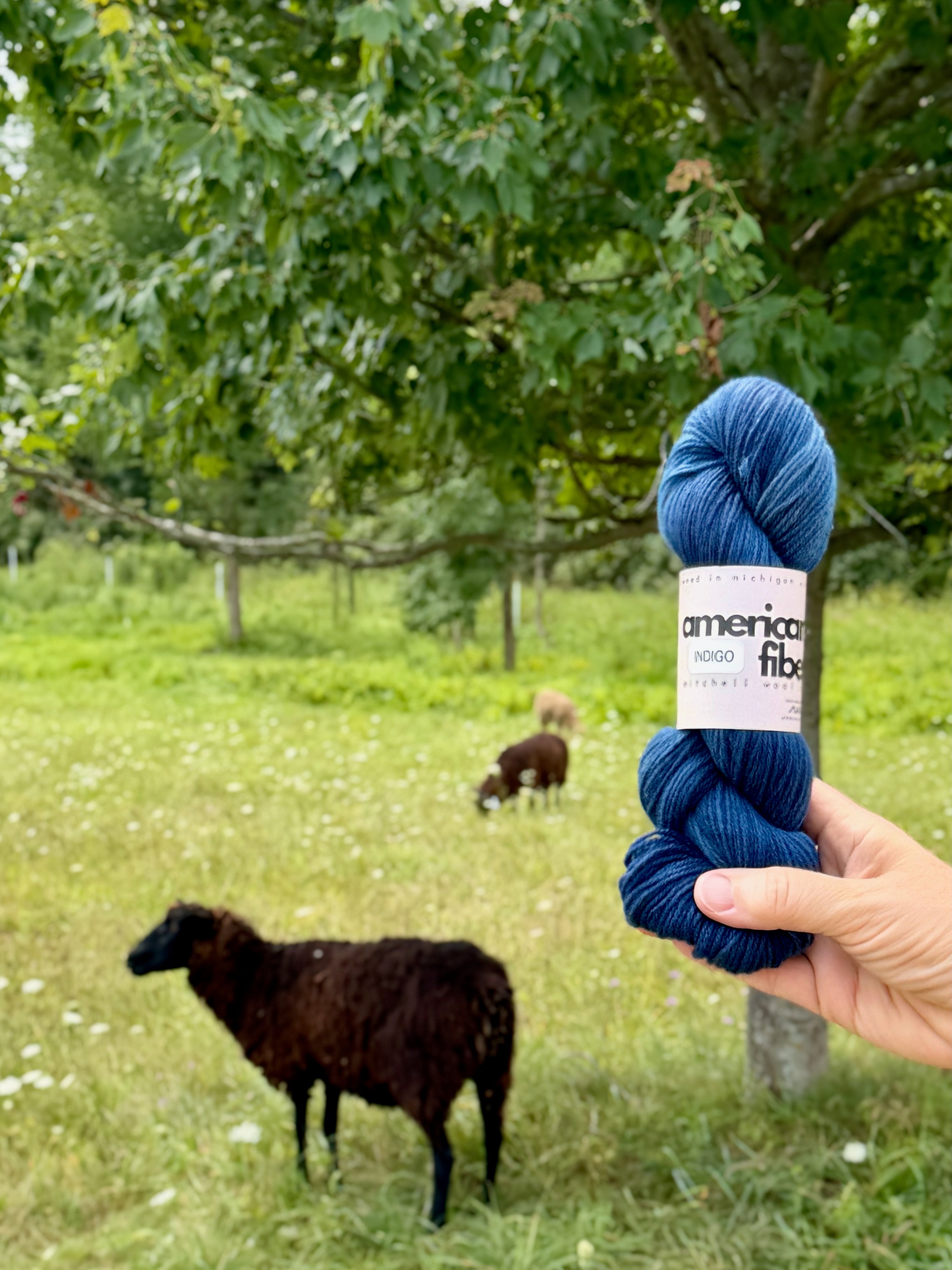 Targhee Fingering - American Fiber