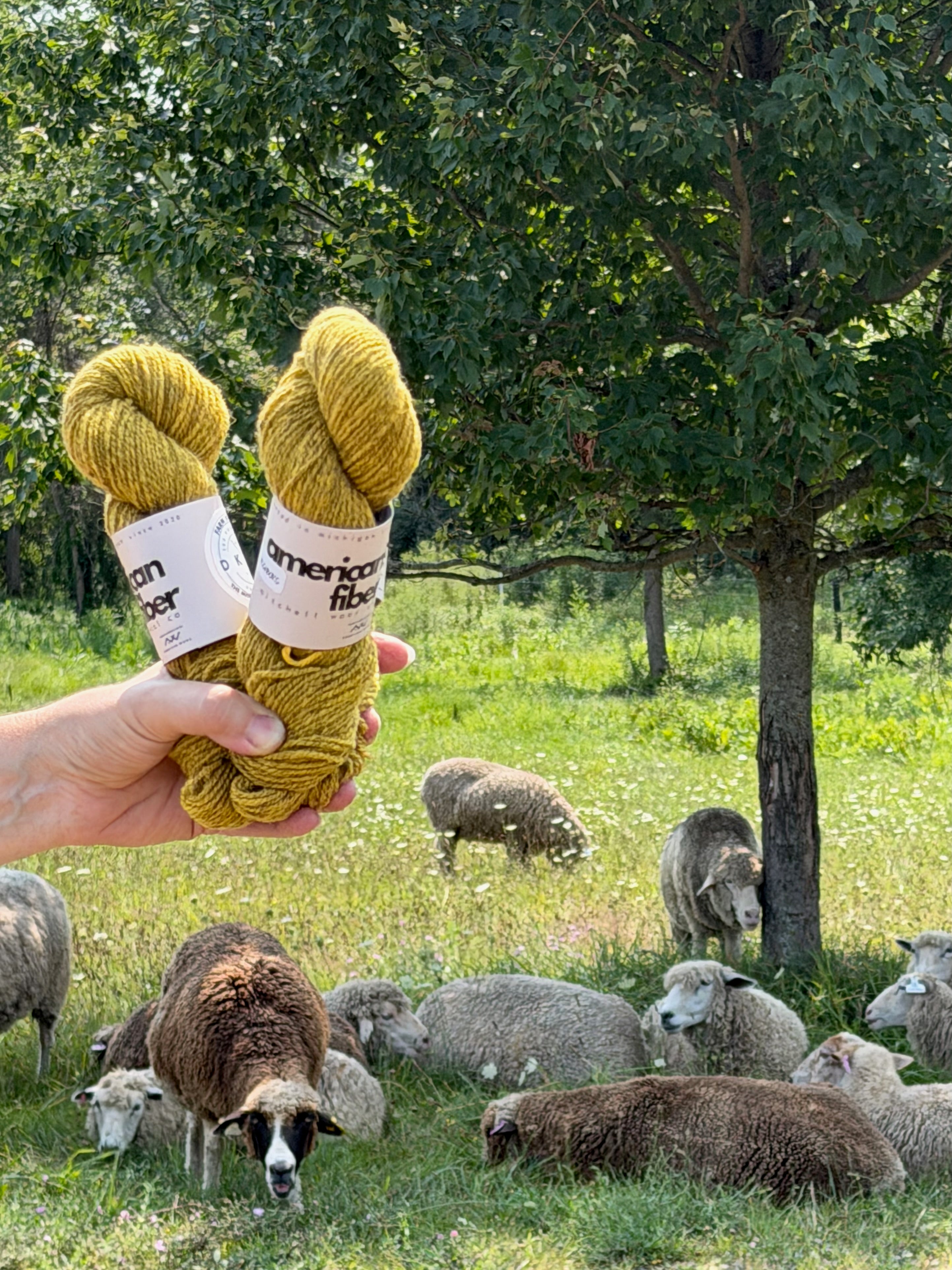 Farm Friends DK - American Fiber