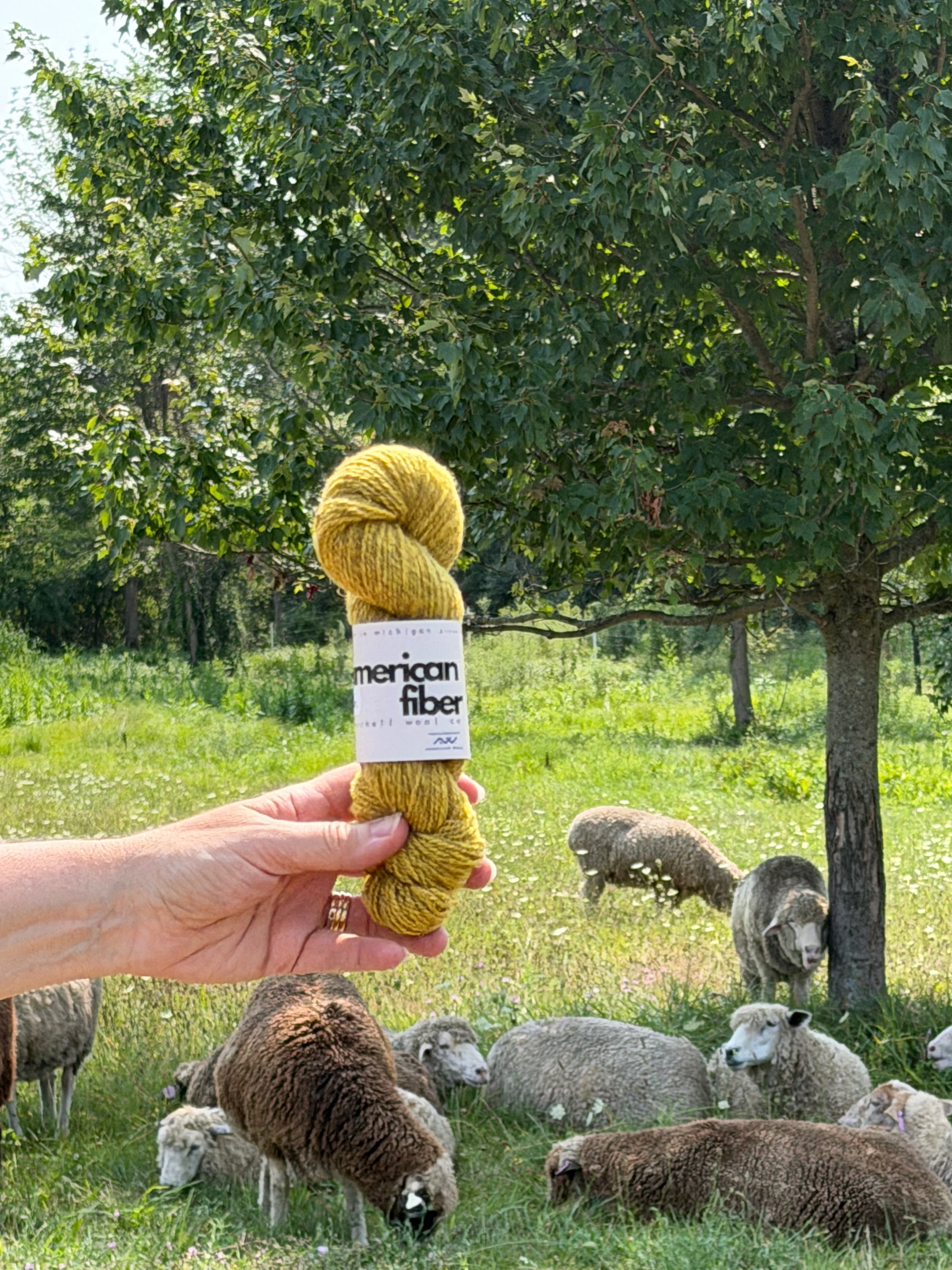 Farm Friends DK - American Fiber
