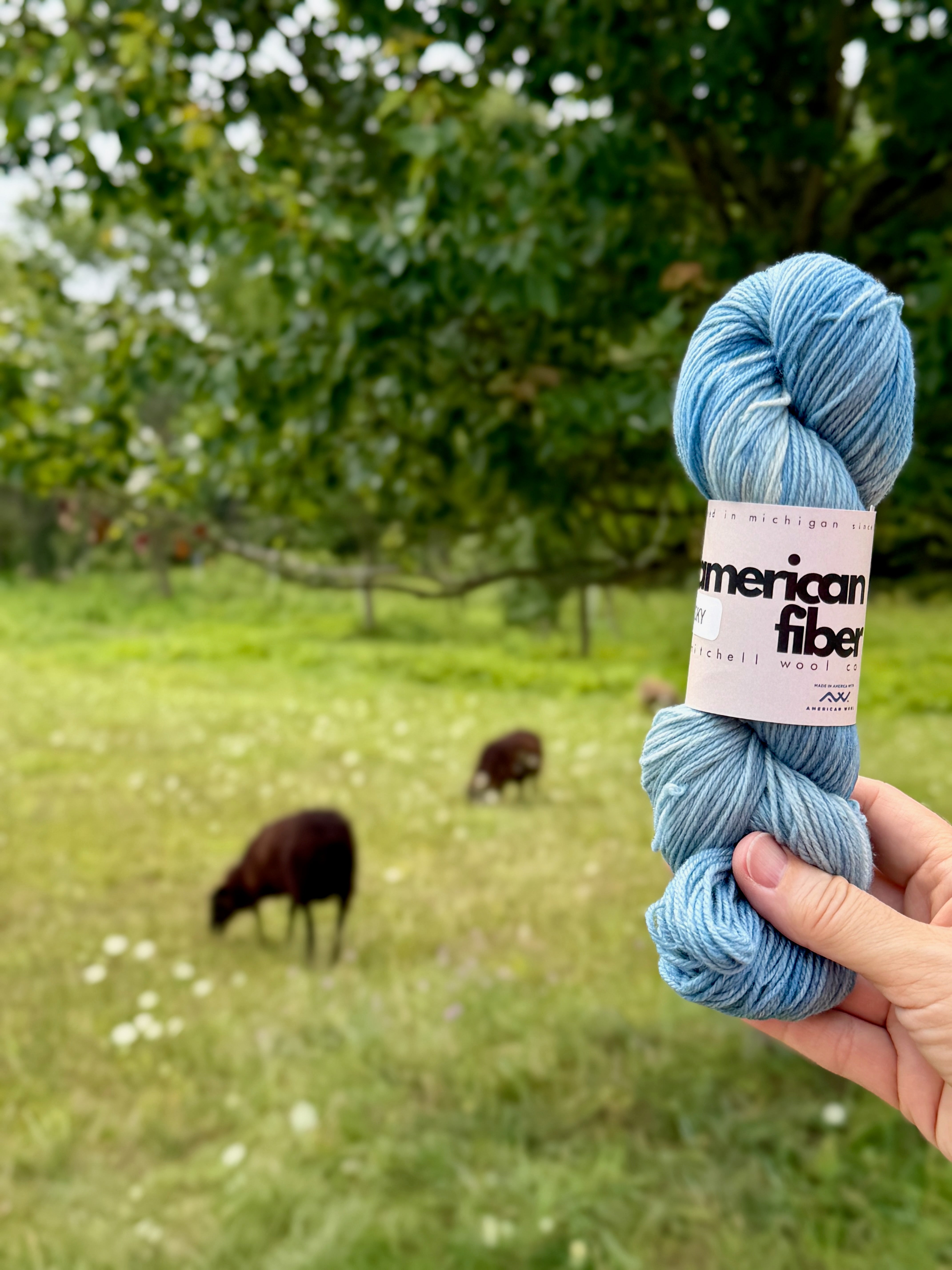Targhee Fingering - American Fiber