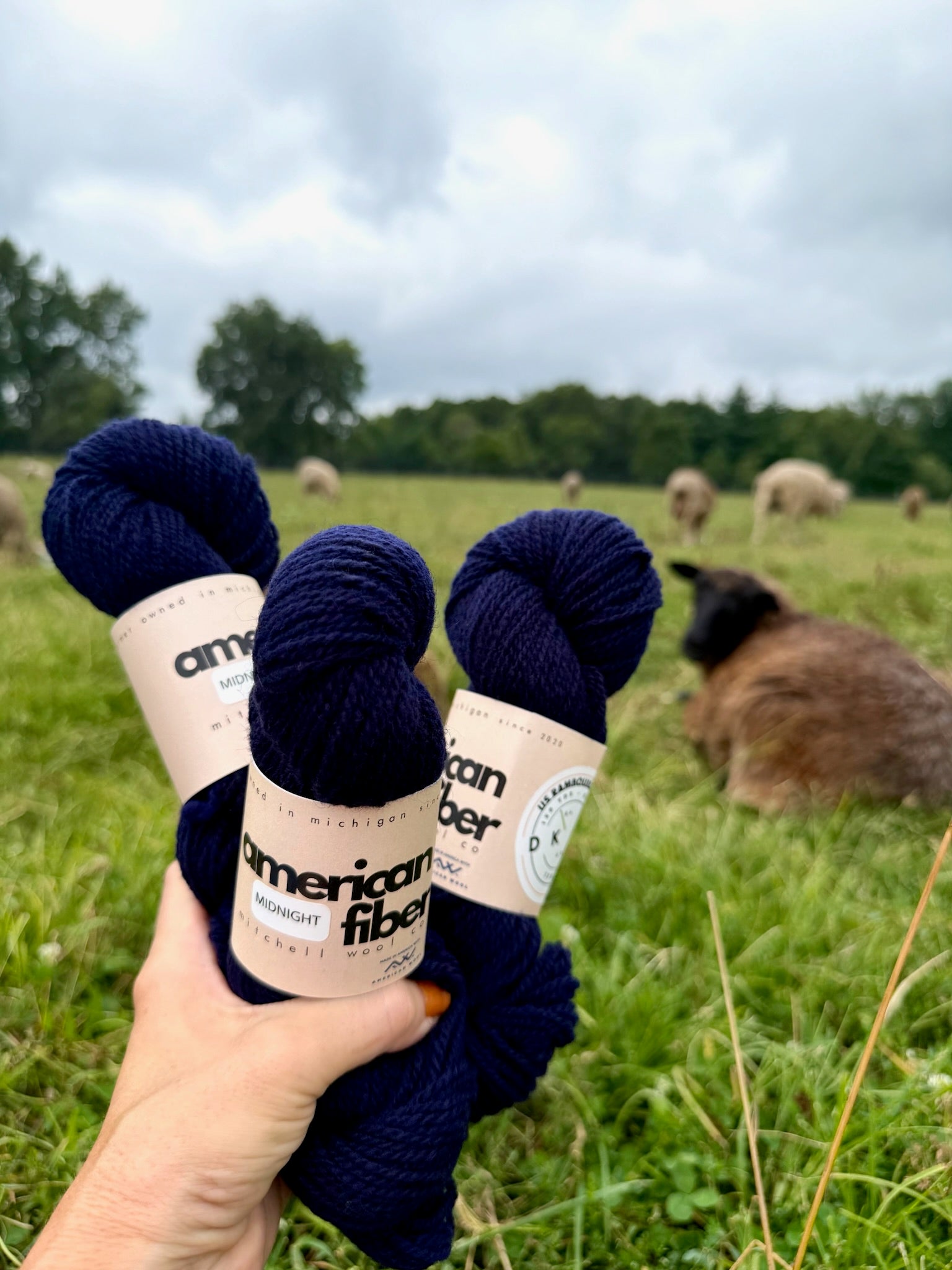 Rambouillet DK - American Fiber