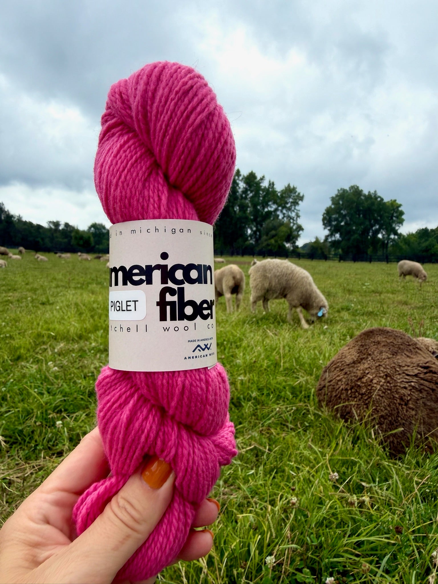 Rambouillet DK - American Fiber