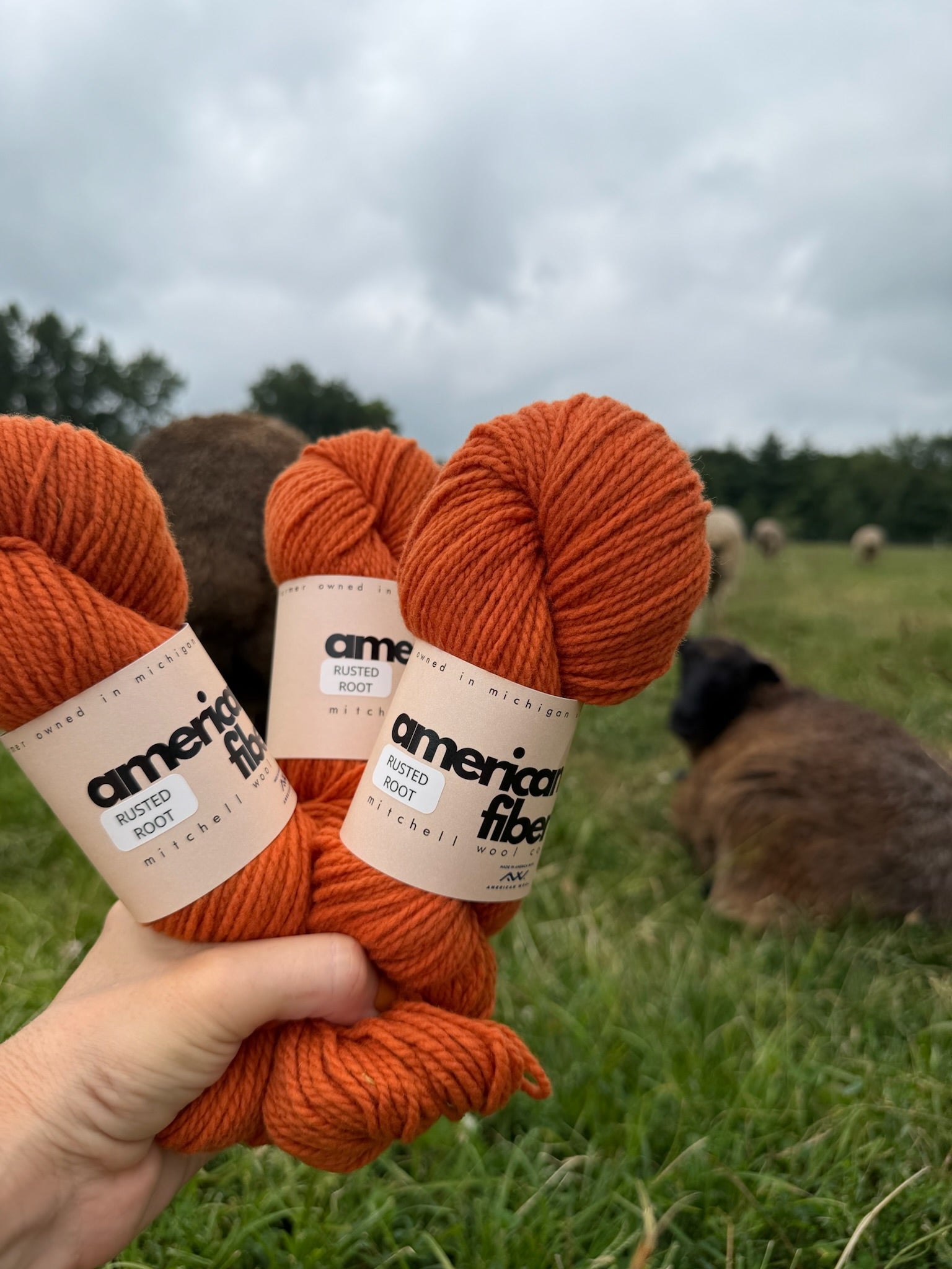 Rambouillet DK - American Fiber