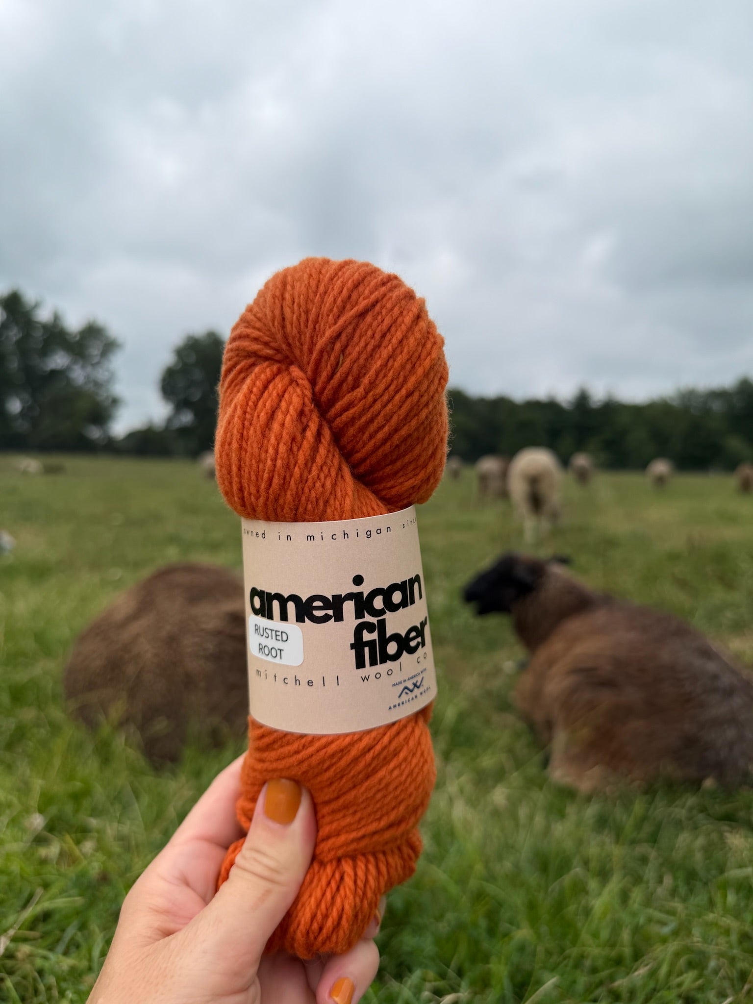 Rambouillet DK - American Fiber