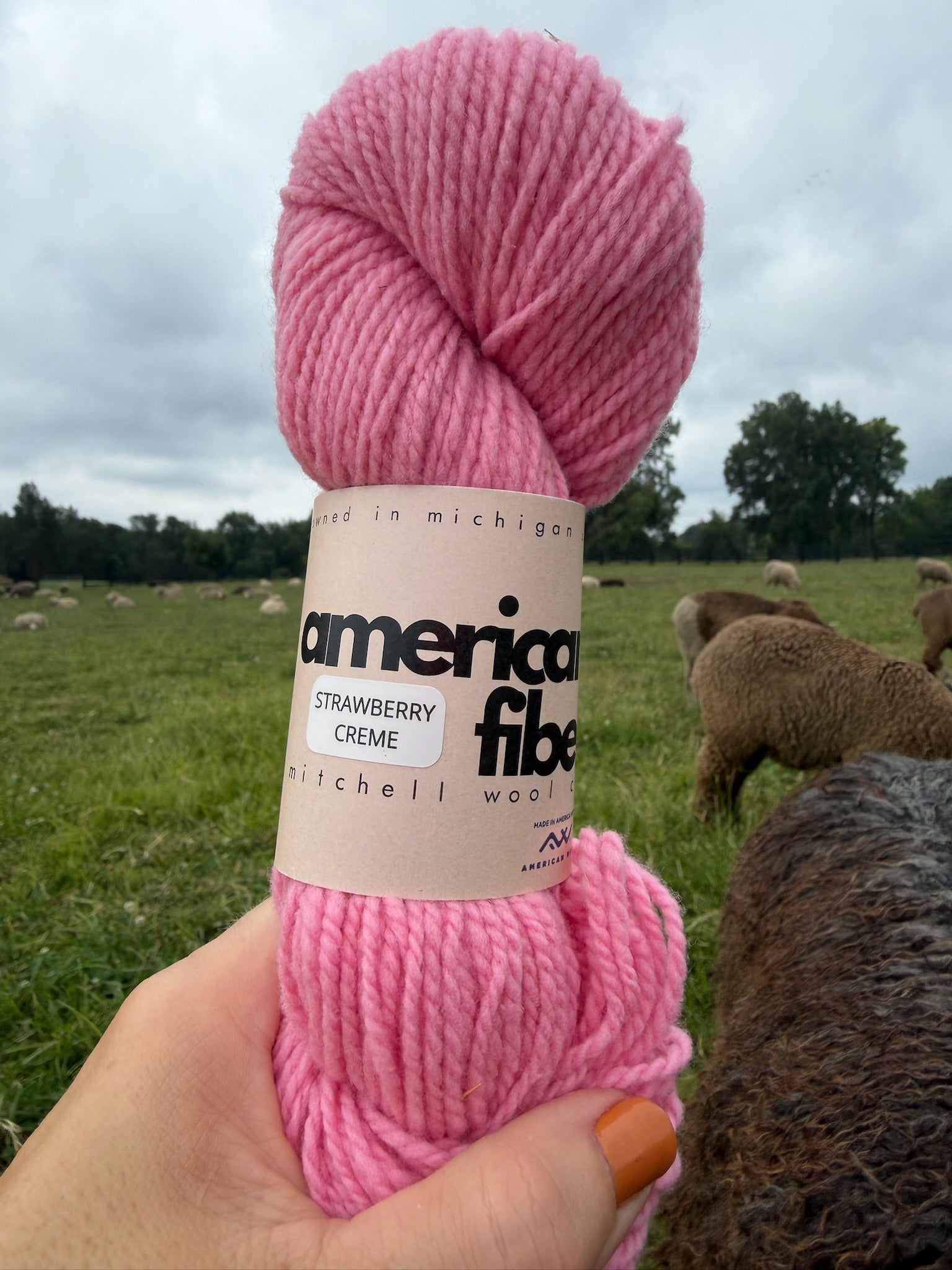 Rambouillet DK - American Fiber
