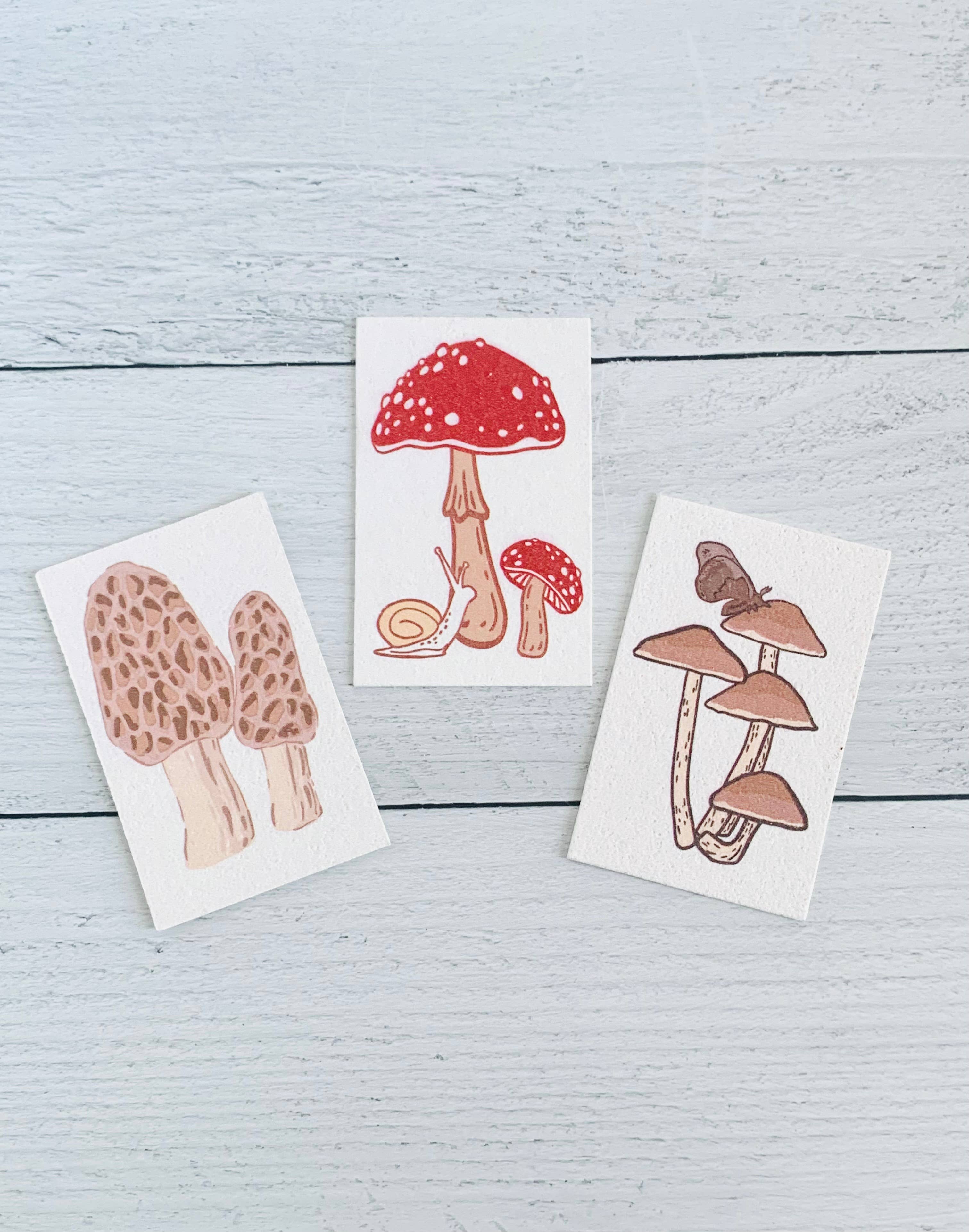 Mushroom Compostable Pop Up Sponges - set of 3
