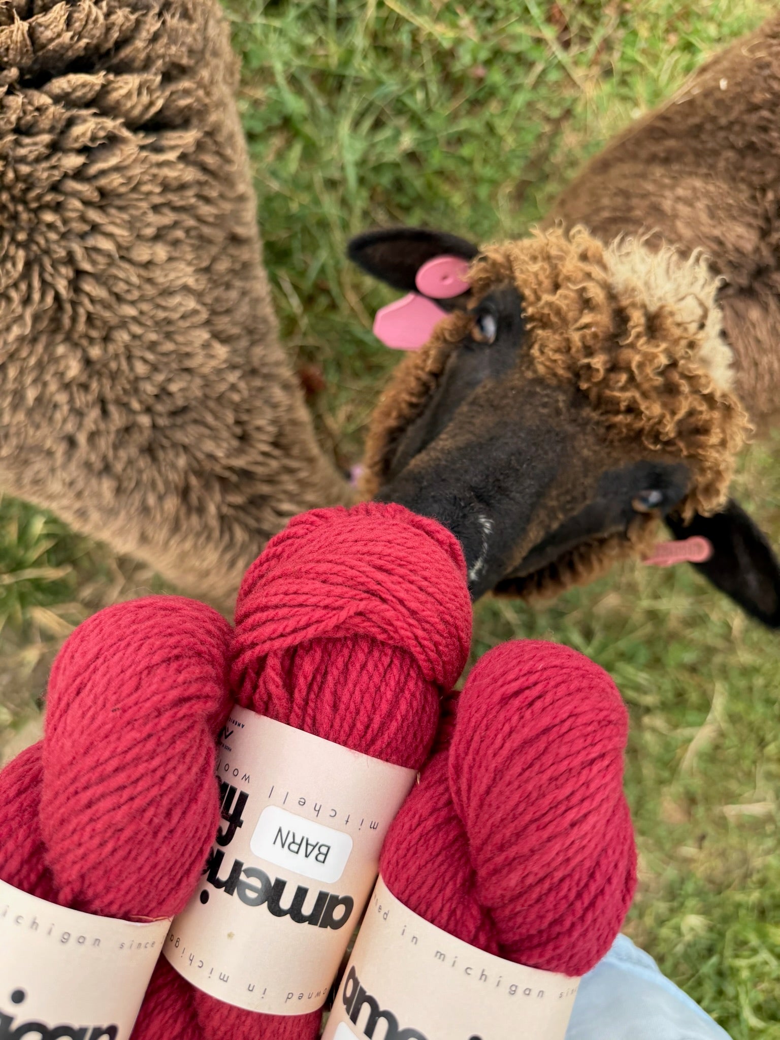 Rambouillet DK - American Fiber