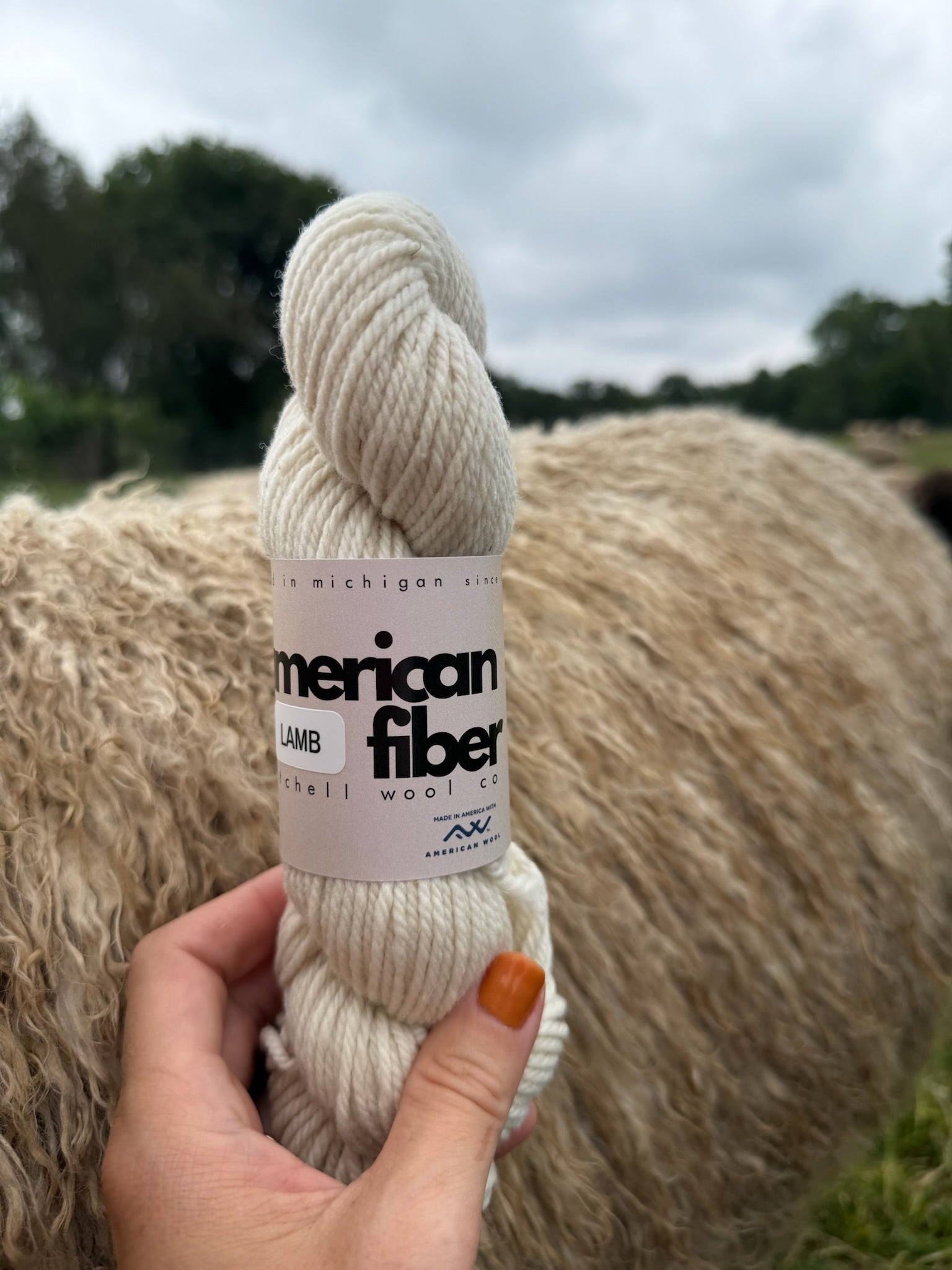 Rambouillet DK - American Fiber