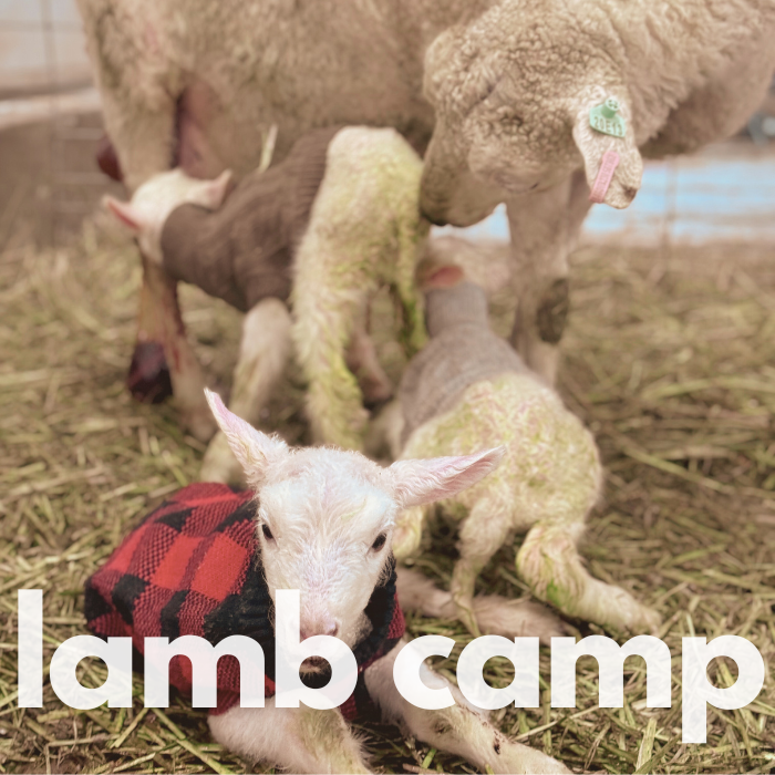 Lamb Camp Retreat - April 2-4 2026