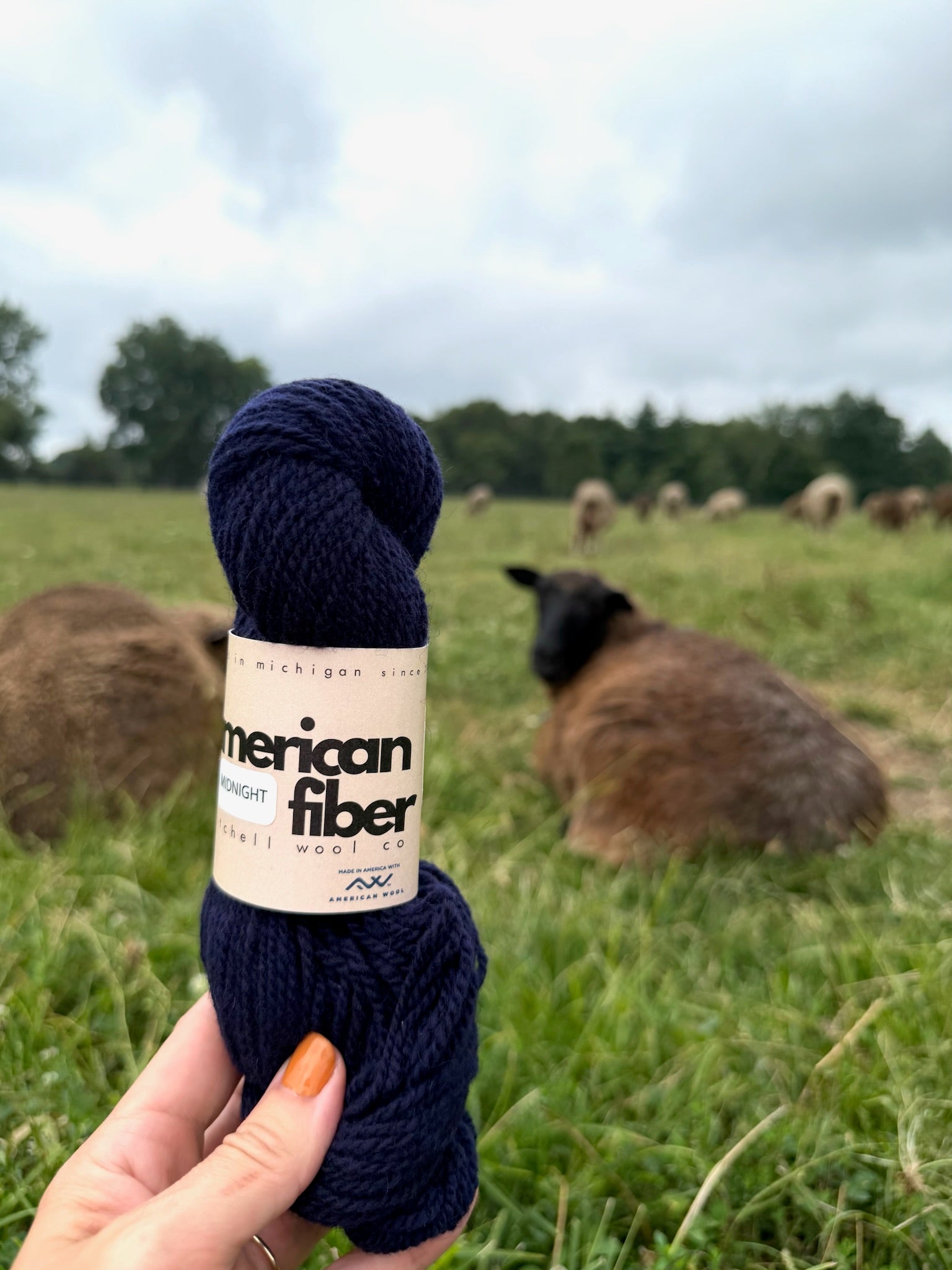 Rambouillet DK - American Fiber