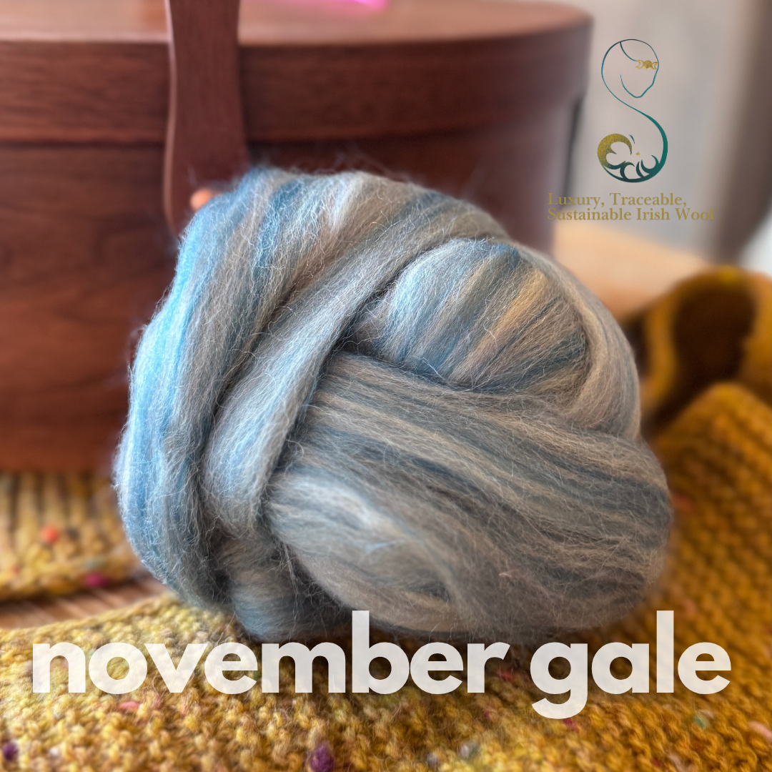 Blue & grey marled dollup of combed top from BFL Irish sheep labeled 'november gale' on a textured surface with blurred background