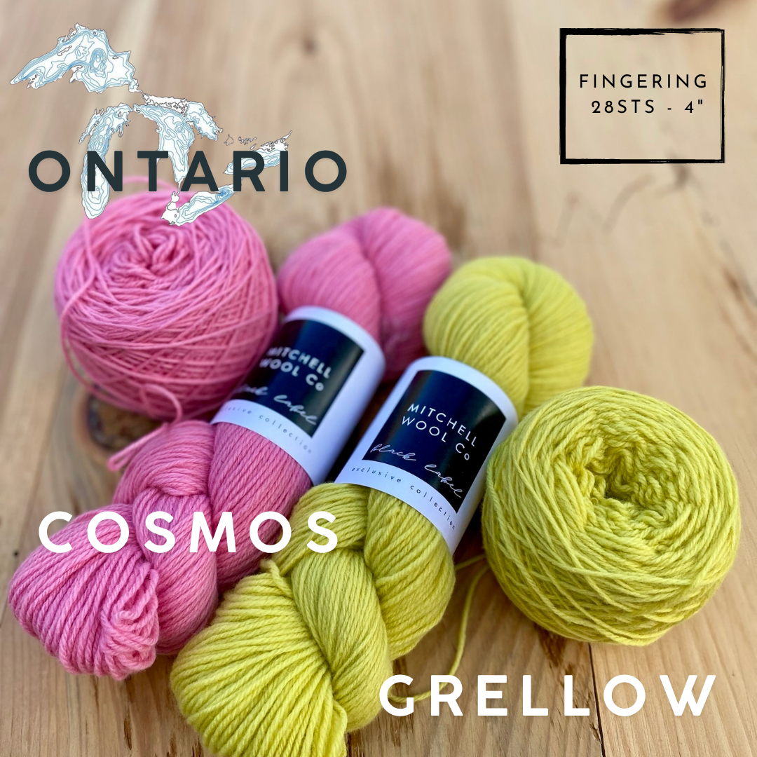 Black Label - Ontario - Fingering Weight Yarn