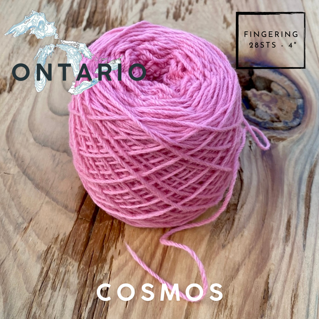 Black Label - Ontario - Fingering Weight Yarn