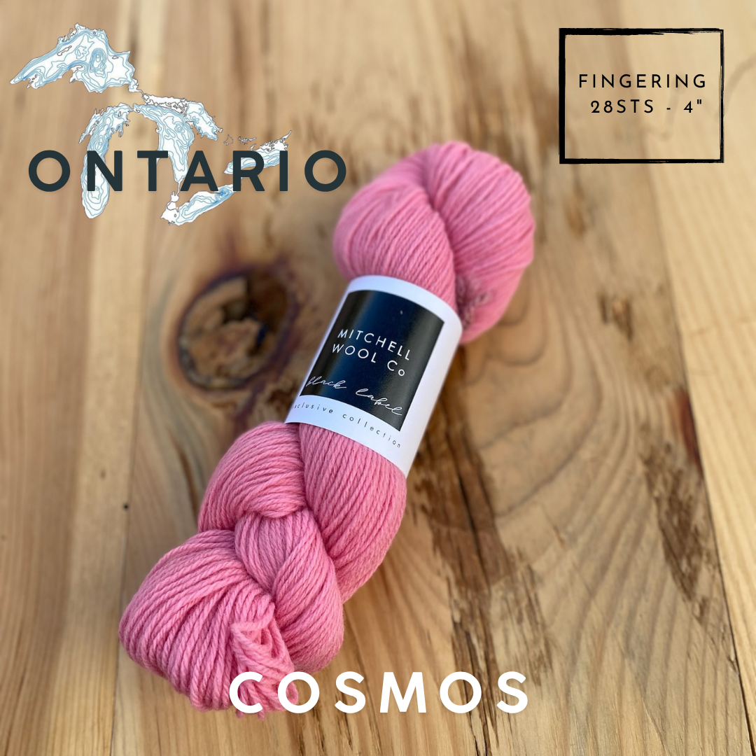 Black Label - Ontario - Fingering Weight Yarn