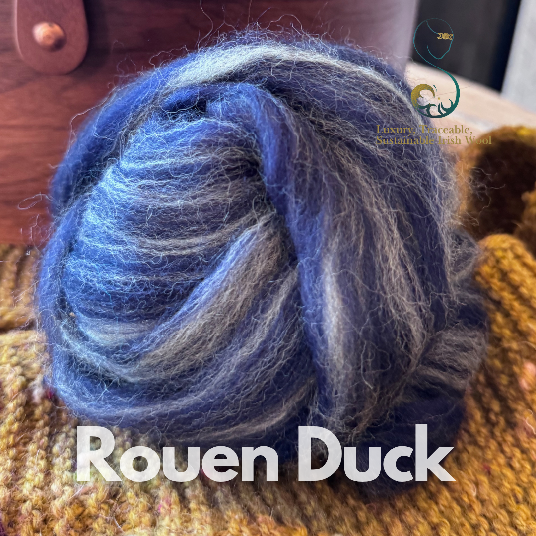 Variegated royal & grey dollup of combed top from BFL Irish sheep labeled 'Rouen Duck' on a textured surface.