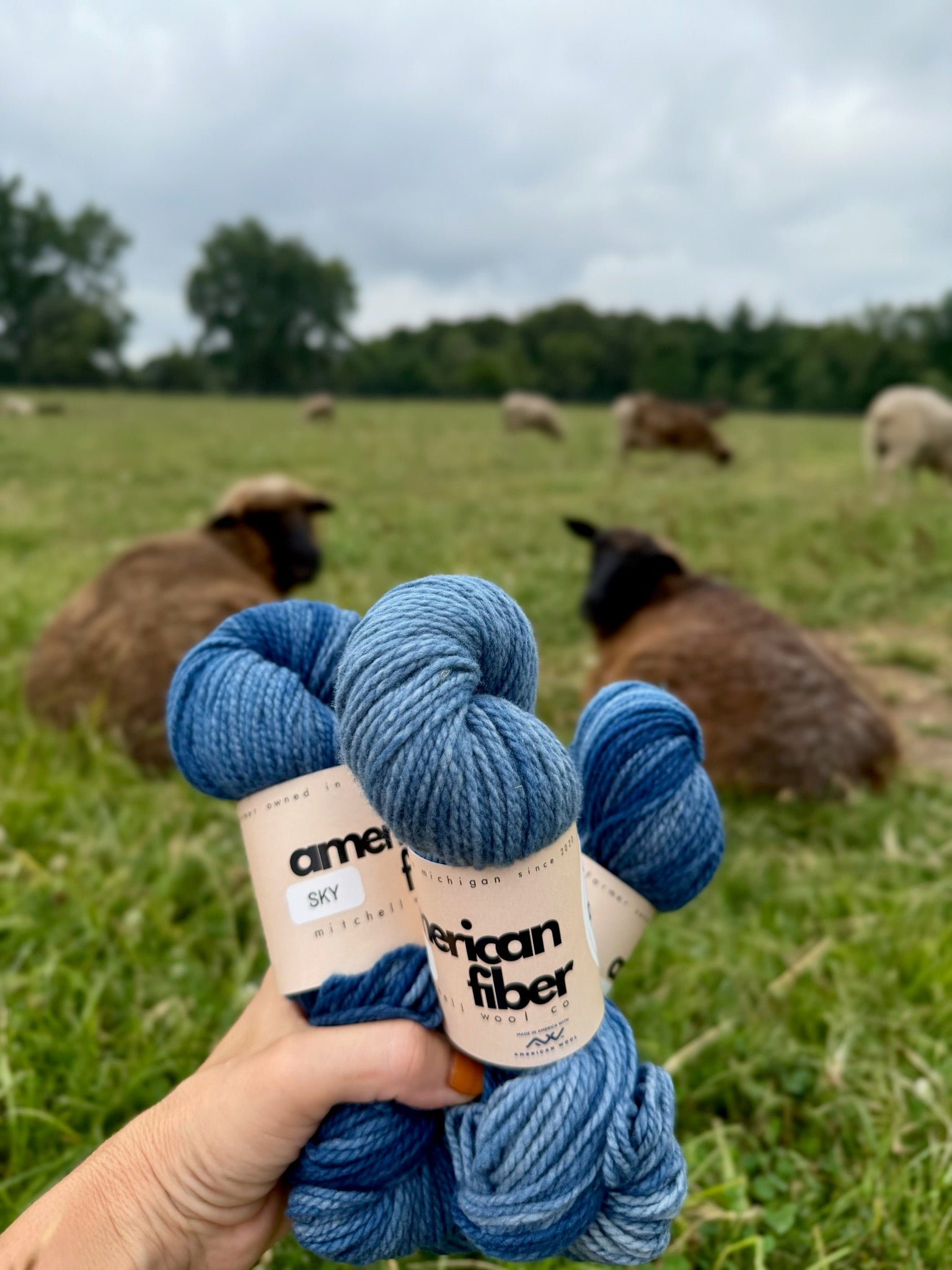 Rambouillet DK - American Fiber