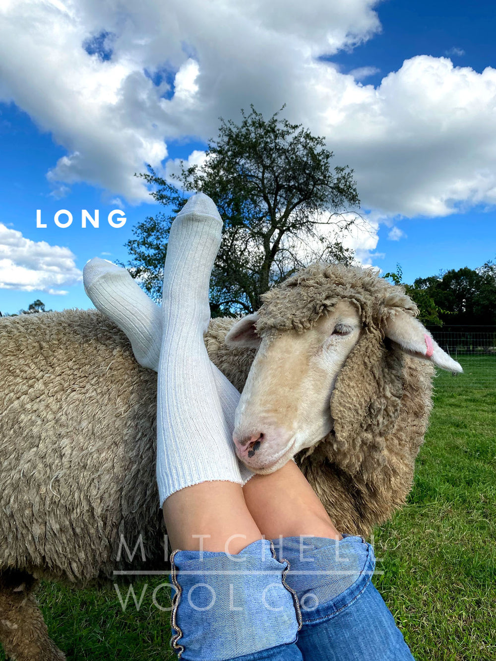 READY TO WEAR - finished wearables – Mitchell Wool Co