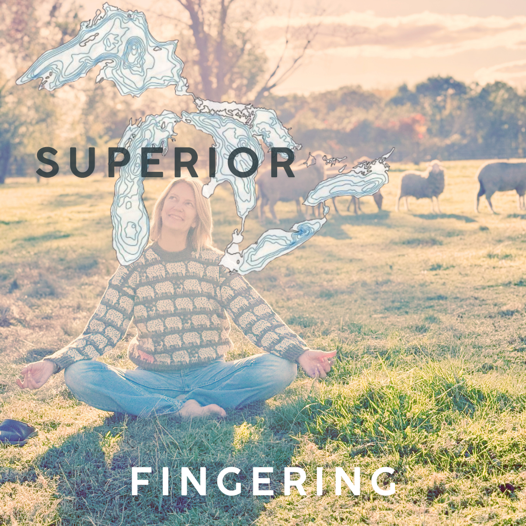 Black Label - Superior - Fingering Weight Yarn