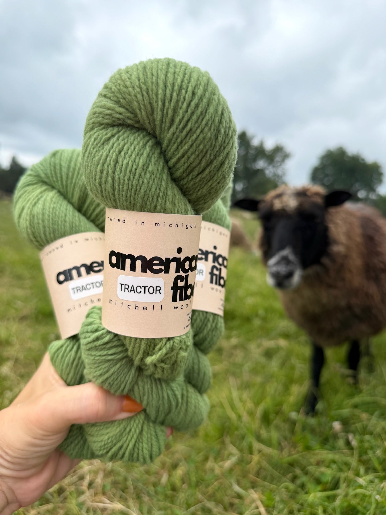 Rambouillet DK - American Fiber
